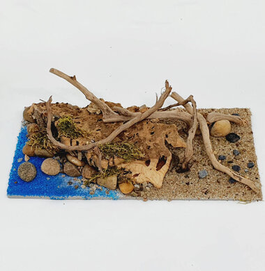 AntScape Biohobby 0423070502023