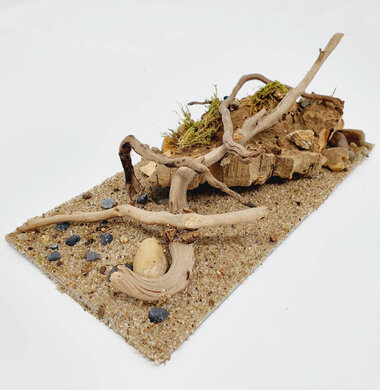 AntScape Biohobby 0423070502023