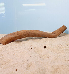 + Коряга для аквариумов и террариумов UDeco Chinese Driftwood Китайское дерево XS 0623052403020