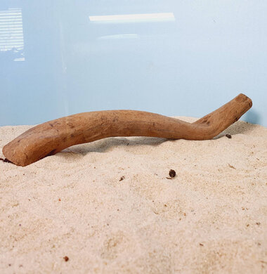 + Коряга для аквариумов и террариумов UDeco Chinese Driftwood Китайское дерево XS 0623052403020