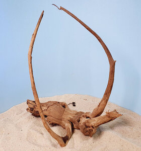 + Коряга для аквариумов и террариумов UDeco Chinese Driftwood Китайское дерево M 0623052605004