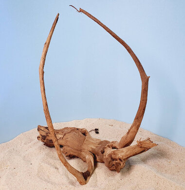 + Коряга для аквариумов и террариумов UDeco Chinese Driftwood Китайское дерево M 0623052605004