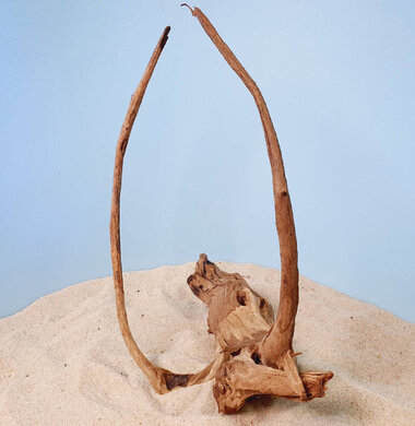 + Коряга для аквариумов и террариумов UDeco Chinese Driftwood Китайское дерево M 0623052605004
