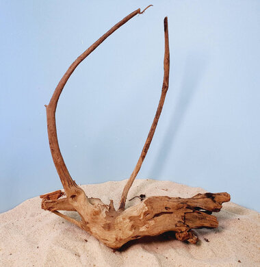 + Коряга для аквариумов и террариумов UDeco Chinese Driftwood Китайское дерево M 0623052605004