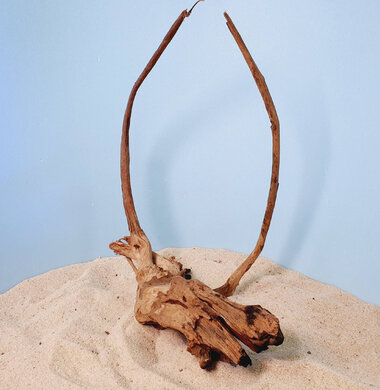 + Коряга для аквариумов и террариумов UDeco Chinese Driftwood Китайское дерево M 0623052605004