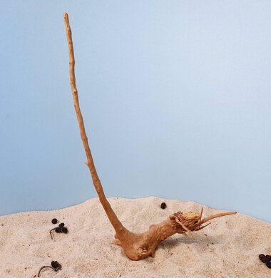 + Коряга для аквариумов и террариумов UDeco Desert Driftwood S 0123052104009