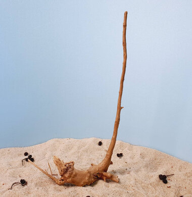 + Коряга для аквариумов и террариумов UDeco Desert Driftwood S 0123052104009