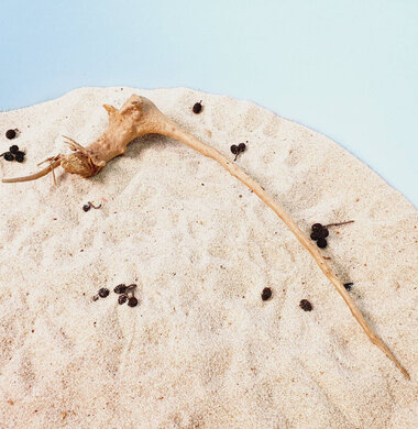 + Коряга для аквариумов и террариумов UDeco Desert Driftwood S 0123052104009