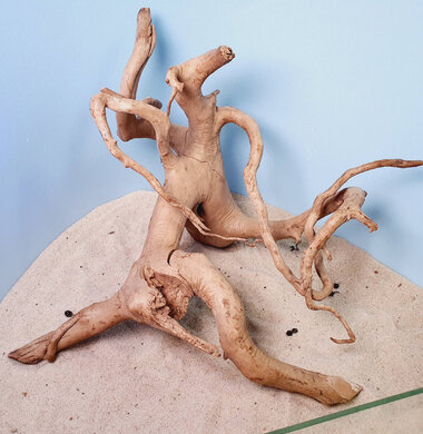 + Коряга для аквариумов и террариумов UDeco Desert Driftwood XXXL 0123052309044