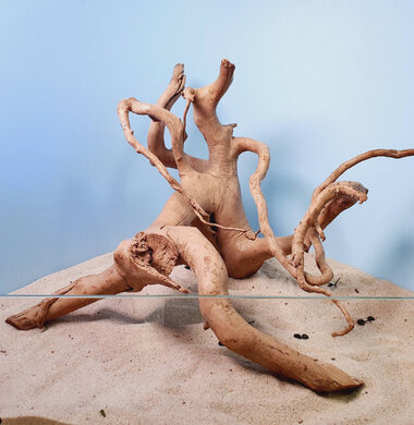 + Коряга для аквариумов и террариумов UDeco Desert Driftwood XXXL 0123052309044