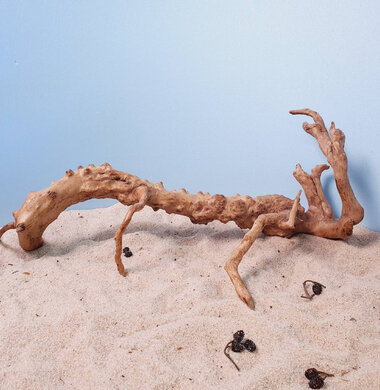 + Коряга для аквариумов и террариумов UDeco Desert Driftwood L 0123052306013