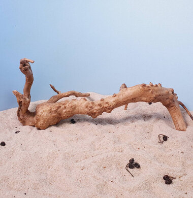 + Коряга для аквариумов и террариумов UDeco Desert Driftwood L 0123052306013
