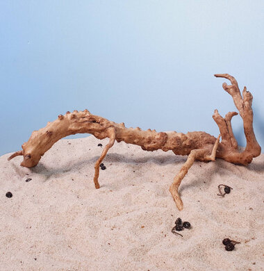 + Коряга для аквариумов и террариумов UDeco Desert Driftwood L 0123052306013