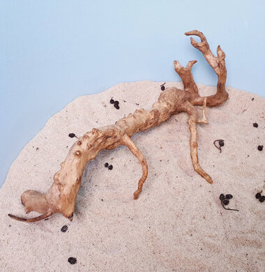 + Коряга для аквариумов и террариумов UDeco Desert Driftwood L 0123052306013