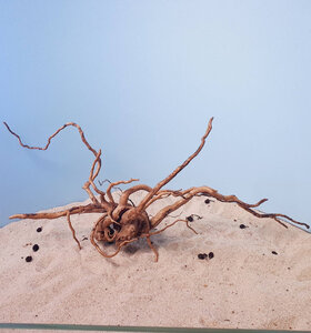 Коряга для аквариумов и террариумов UDeco Desert Driftwood M 0123052105020