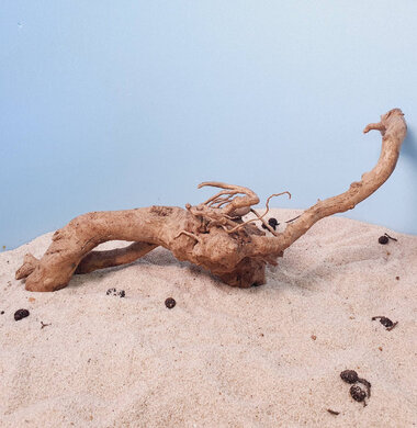 + Коряга для аквариумов и террариумов UDeco Desert Driftwood M 0123052305003