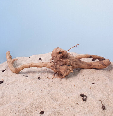 + Коряга для аквариумов и террариумов UDeco Desert Driftwood M 0123052305003