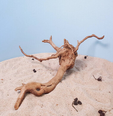 + Коряга для аквариумов и террариумов UDeco Desert Driftwood M 0123052305012