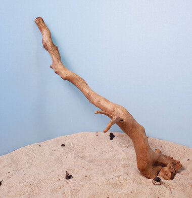 + Коряга для аквариумов и террариумов UDeco Desert Driftwood M 0123052305022