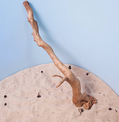 + Коряга для аквариумов и террариумов UDeco Desert Driftwood M 0123052305022