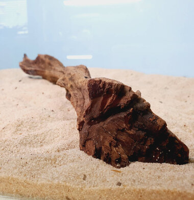 + Коряга для аквариумов и террариумов UDeco Iron Driftwood Железное дерево 0523052400024