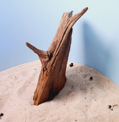 + Коряга для аквариумов и террариумов UDeco "Дуб / каштан дизайнерский" 0223052300046