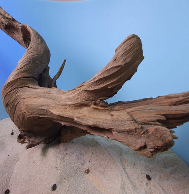 + Коряга для аквариумов и террариумов UDeco "Дуб / каштан дизайнерский" 0223052400028