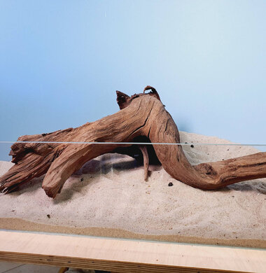 + Коряга для аквариумов и террариумов UDeco "Дуб / каштан дизайнерский" 0223052400028