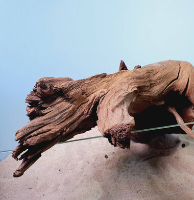 + Коряга для аквариумов и террариумов UDeco "Дуб / каштан дизайнерский" 0223052400028