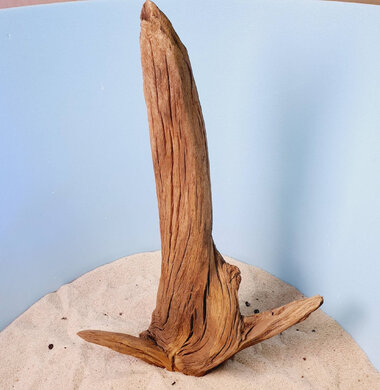 + Коряга для аквариумов и террариумов UDeco "Дуб / каштан дизайнерский" 0223052400029