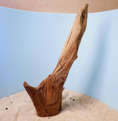 + Коряга для аквариумов и террариумов UDeco "Дуб / каштан дизайнерский" 0223052400029