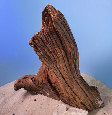 + Коряга для аквариумов и террариумов UDeco "Дуб / каштан дизайнерский" 0223052500001