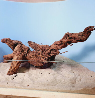 + Коряга для аквариумов и террариумов UDeco "Золотое дерево - Чечил" 0723052500007