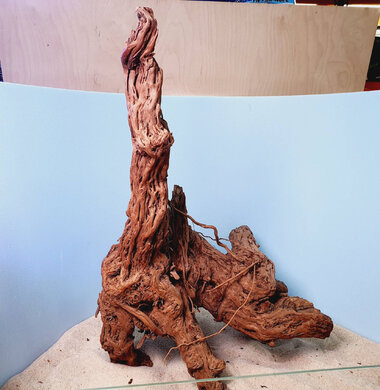 + Коряга для аквариумов и террариумов UDeco "Золотое дерево - Чечил" 0723052500007