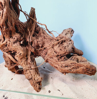 + Коряга для аквариумов и террариумов UDeco "Золотое дерево - Чечил" 0723052500007