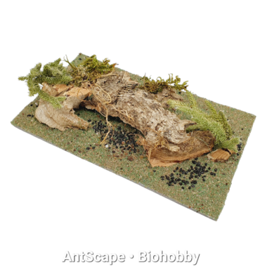 Муравьиная ферма ANTBOX Simple Sand с оформлением и бесплатной доставкой в Минске