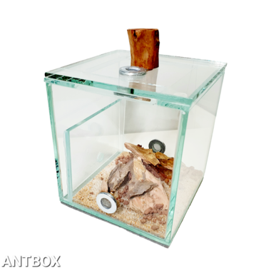 Муравьиная ферма ANTBOX Simple Sand с оформлением и бесплатной доставкой в Минске