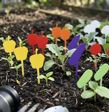 Набор табличек для рассады «Овощи» (30 шт)