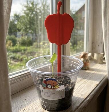 Набор табличек для рассады «Овощи» (30 шт)