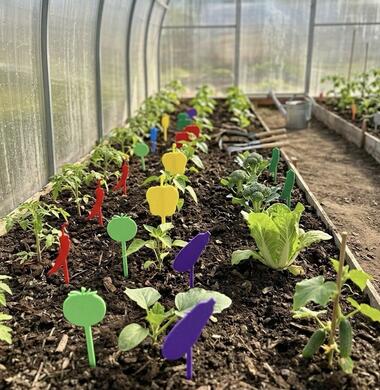 Набор табличек для рассады «Овощи» (30 шт)