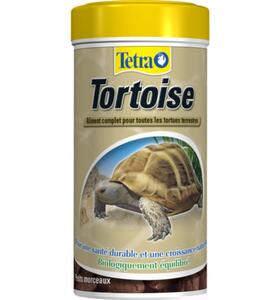 Tetra Tortoise