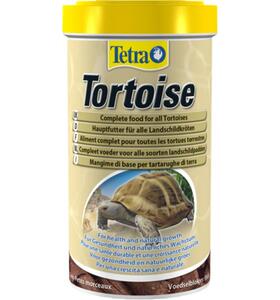 Tetra Tortoise