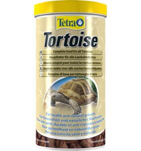 Tetra Tortoise