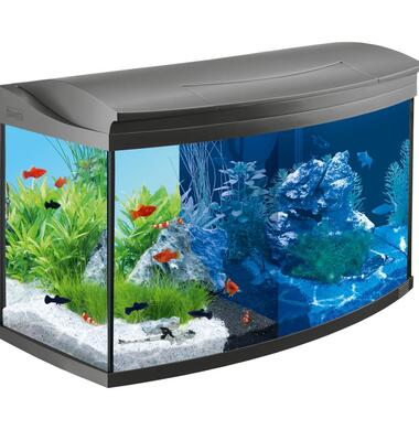 Аквариум Tetra AquaArt LED Evolution Line на 100 литров