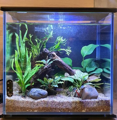 Аквариум Tetra Silhouette на 12 литров