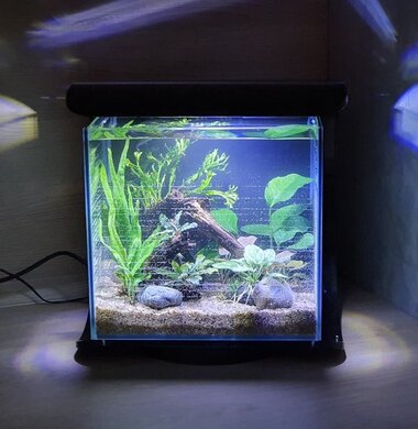 Аквариум Tetra Silhouette на 12 литров