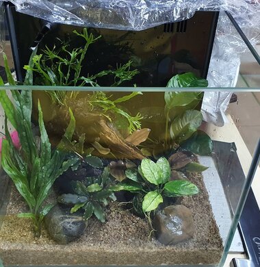 Аквариум Tetra Silhouette на 12 литров