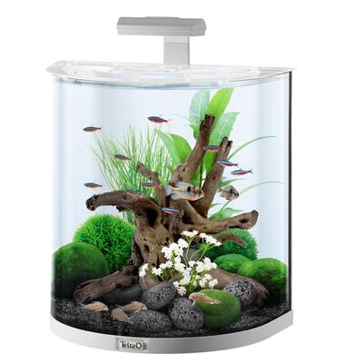 Аквариум Tetra AquaArt LED Explorer Line белый на 60 литров