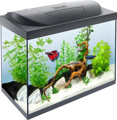 Аквариум Tetra Starter Line LED на 80 литров
