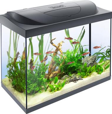 Аквариум Tetra Starter Line LED на 80 литров